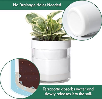 Phoenix Vine 6 Inch Self Watering Planter, White Terracotta Clay Pot with Glass Reservoir for Indoor Plants, Herbs, Flowers, Set of 1, 52-B-F-1
