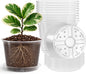 8 Packs 8 Inch Reinforced Large Clear Nursery Pots with Sacuers, Transparent Plastic Plant Pot Seedling Planter with Drainage Holes for Vegetable Propagation, Root Cutting, Seed Starting