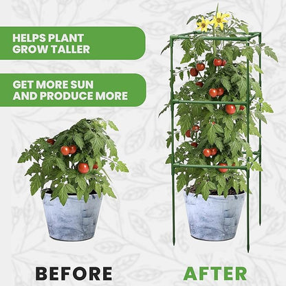 Tomato Cage Square - Large Trellis Stakes and Plant Support Structures for Vegetables and Climbing Plants - Tall Tomato Cages for Garden, Pots, Raised Garden Bed Outdoor Supplies (1 Pack - Up to 41")