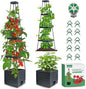 MQFORU 2Pack Raised Garden Bed Planter Boxes with Trellis, 57" Self-Watering Tomato Planter Boxes with Trellis for Climbing Vegetable and Plants, Tomato Cage for Indoor Outdoor Use