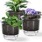 Plant Pots 6 inch Set of 3, Self Watering Pots for Indoor Outdoor Plants Flowers, Self Watering Planters with Reservoir, Drainage Hole and Absorbent Cotton Rope (3 Large)
