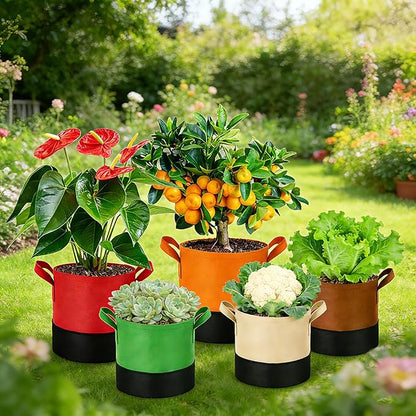 3 Gallon Fabric Grow Bags 5-Pack, 350G Heavy Duty Nonwoven Plant Pots with Handles, Breathable Root Pruning Containers for Vegetables Flowers Indoor Outdoor Gardening
