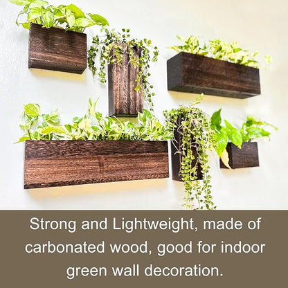 LaLaGreen Wood Planter Box for Plants (6 Pack) Wooden Hanging Wall Planters for Indoor Plant Holder Vase for Dried Flowers, Modern Farmhouse Wall Decor Living Room Bedroom Kitchen Office Home Garden