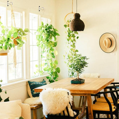 6Pack 2.5Inch Ceiling Hooks for Hanging Plant, Hanger for Indoor and Outdoor Plant Pots Holder, Wall Hook for Planters, Flower Basket, Wind Chimes, Lanterns, Lights, Bird Feeders, Home Decor-White