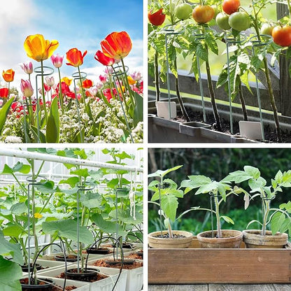 20 Pack 16 Inch Plant Support Stakes, Metal Single stemmed Flower Support Hoops，Garden Plant Stakes Plant Prop for Amaryllis Orchid Lily Rose Peony Tomatoes Gladiolus