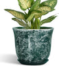 Ceramic Pots for Plants - 5.6 Inch Planter for Indoor Outdoor, Small Flower Pot with Drainage Hole and Saucer, Round Modern Succulent Planters, Home Room Desk Decor, Women Gifts, Green