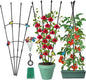 2Pack Garden Trellis for Climbing Plants Outdoor & Indoor, 47in Obelisk Trellis and Tomato cage 2 Shapes Rustproof Plant Support Indoor Plants Trellis for Potted Plants with 10pcs Colorful Butterfly
