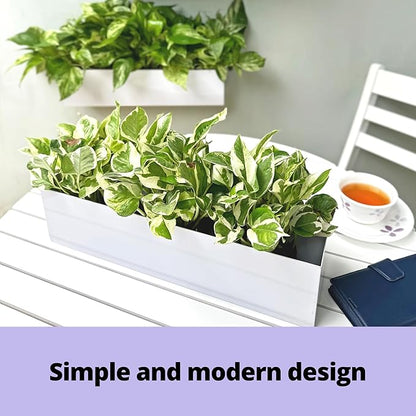 LaLaGreen Wall Planter (16 Inch, 2 Pack) Carbon Steel White Metal Hanging Flower Pot for Succulents, Wall Mount Rectangular Window Sill Box Fence Floating Garden Shelf for Deck Indoor Outdoor Decor
