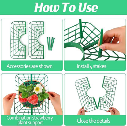 4 Sets Strawberry Plant Supports with Plant Protectors from Animals,Strawberry Growing Support Stakes with Mesh Plant Cover and Metal Garden Lawn Spikes Strawberry Planting Stand for Garden Vegetables
