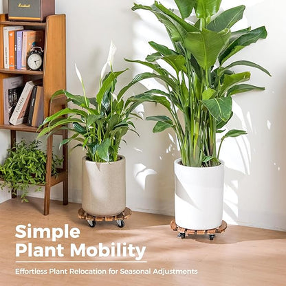 Bamworld Plant Stand Outdoor Rolling Tray Plant Caddy with Wheels 12in Plant Caster with Wheels Planter Caddy Flower Cart Plant Dolly for Heavy Duty Large Plants Plant Rollers (2 Pack )