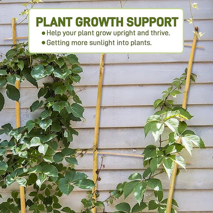 Avalution 10 Pack Bamboo Trellis for Climbing Plants, 4 FT Garden Ladder Trellis for Potted Plants Indoor, Fan-Shaped Small Plant Support Trellis for Houseplants Ivy Hoya Vine Monstera