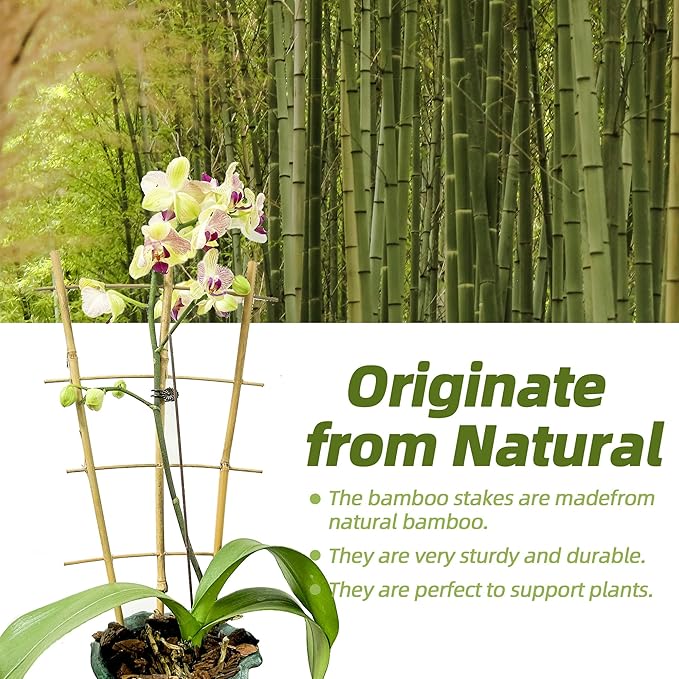 10 Pack 16" Bamboo Trellis for Climbing Plants-Natural Garden Ladder Fan -Shaped Plants Support Trellis for Potted Plant Decor in Door