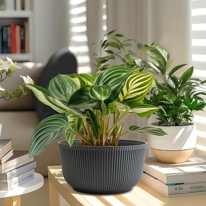 T4U 8 Inch Plant Pots, 2 Pack Self Watering Planter with Drainage Hole, Shallow Plant Pot Indoor, Home Decor Flower Pots for Plants, Cactus, Garden, Gray