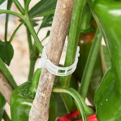 300 Pcs Plant Support Clips,Plastic Clips for Securing Plants,Tomato Vine Clips,Plant Fixing Clips,Garden Clips for Climbing Plants,Grape and Vine Vegetables (300, White)