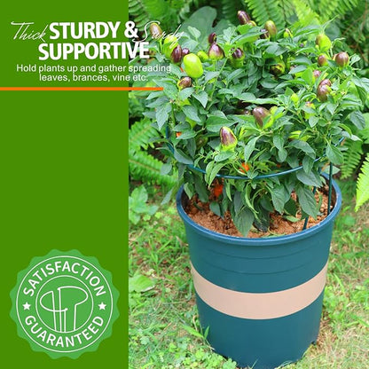 LEOBRO Plant Support, 8PCS Peony Cages and Supports, Plant Stakes for Indoor Plants, Outdoor Plants, Plant Holders, Tomato Monstera Hydrangea Support Cage, 10" W x 15.8" H