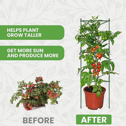 Tomato Cage - Large Trellis Stakes and Plant Support Structures for Vegetables and Climbing Plants - Tall Tomato Cages for Garden, Pots, Raised Garden Bed Outdoor Supplies (6 Pack - Up to 48")