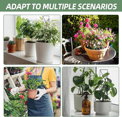 17.5 Inch Indoor Plant Trellis for Climbing Plants,Metal Trellis,Small Garden Trellis for Potted Plants,Plant Stakes for Indoor Plants Accessories Hoya,Flower,Plant Support (Star-Metal)