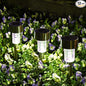 SOLPEX Solar Garden Lights Outdoor, 6 Color 12 Pack Stainless Steel Led Pathway Lights,Halloween/Christmas Solar Decorative，Christmas Decor for Patio, Lawn, Yard,Landscape and Walkway