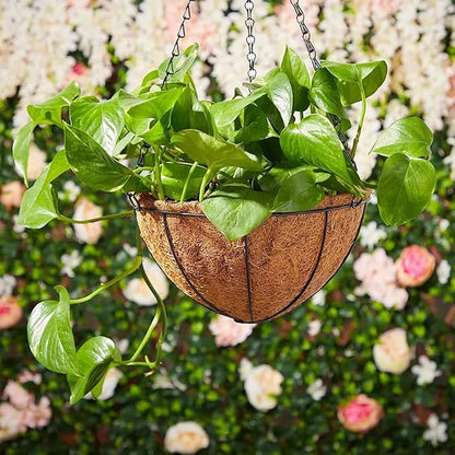 Hanging Baskets Planter for Plants - 4 Pack 14 Inch Metal Baskets with Coco Coir Liner, Hanging Flower Pots for Outside with Chain, Indoor Outdoor Garden Porch Decoration (14'' Pack of 4)