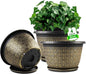 8 Inch Plant Pots, 4 Pack Flower Pot Outdoor with Drainage Holes & Trays, Retro Antique Imitation Decorative Garden Plastic Planters Pots for Plants Indoor Sets for Houseplants
