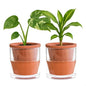 D'vine Dev 4 Inch Design Self Watering Pot for Indoor Plants, Terracotta Planter with Cylinder Glass Cup, Set of 2, 37-Y-A-1