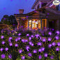 Kohlrabi Solar Garden Lights Outdoor, 10 Pack 80 LED Solar Purple Firefly Lights Waterproof, Sway by Wind, Halloween Swaying Light for Yard Patio Backyard Garden Planter Flower Bed Pathway Decoration