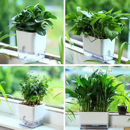 Planterhoma Self Watering Plant Pots for Indoor Plants 7/10 inch, 4 Packs Square Self-Watering Planters with Drainage Hole, White African Violet Pots for Devil's Ivy, Spider Plant, Orchid