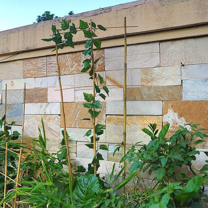 10 Pack 4ft Bamboo Trellis for Climbing Plants - Fan-Shaped Support Trellis for Potted Plant Decor in Door