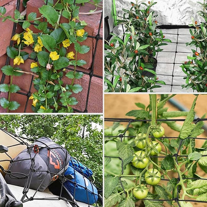 VIVOSUN 5 x 5Ft. Elastic Trellis Netting with 4 Hooks for Climbing Plants, Vegetables, Fruits, and Flowers, 1-Pack