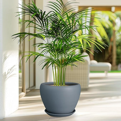 Ceramic Pot for Plants - 8 Inch Plant Pot Indoor with Drainage Hole and Saucer Decorative Planter for Outdoor Plants Modern Flower Pot for Home Decor Garden Gray