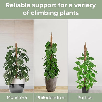 2 Pack 28'' Bendable Moss Pole Monstera Plant Support for Climbing Indoor Plants - Stakes for Potted Climbers - Tall Sticks Indoor Trellis for Houseplants - Accessories for Monstera Pot