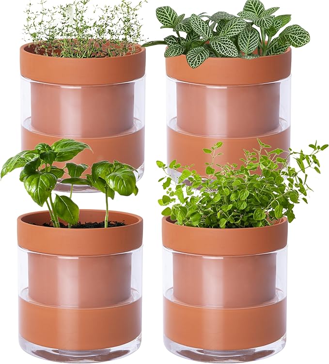 Phoenix Vine 4 Inch Self Watering Planter Pot, Terracotta Clay Pot with Glass Reservoir for Indoor Plants, Herbs, Flowers, Set of 4, 52-A-E-4