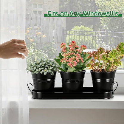 Herb Garden Planter Indoor Kit – 6 Metal Pots with 2 Trays for Windowsill & Kitchen Counter – Modern Decorative Indoor Planters for Herbs, Succulents & Small Plants, Black