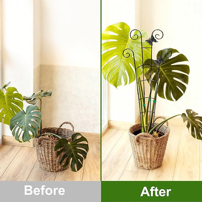COOMIN 30'' Monstera Plant Support Outdoor, Metal Expandable Plant Supports for Indoor Plants, 2P Garden Trellis for Climbing Plants Indoor - Ivy, Pothos, Philodendron, Hoya