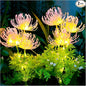 Solar Garden Lights, Solar Flowers Lights with Glowing Flowers & Stems, Upgraded Solar Panel, Outdoor Lights for Garden Decoration,Yard Decor and Gift for Mother (2 Pack)