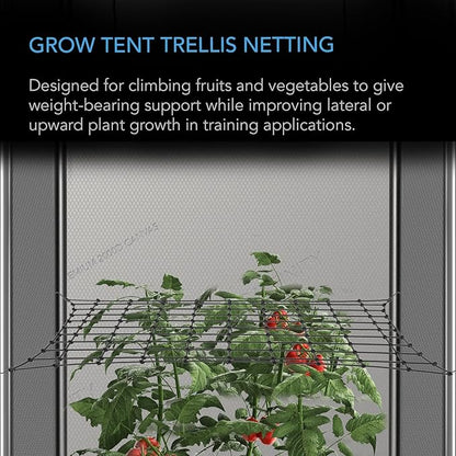 AC Infinity Grow Tent Trellis Netting 2x2', Heavy-Duty Elastic Plant Net with Steel Hooks, Flexible Hydroponics Support for Grow Tents, Gardening, and Horticulture