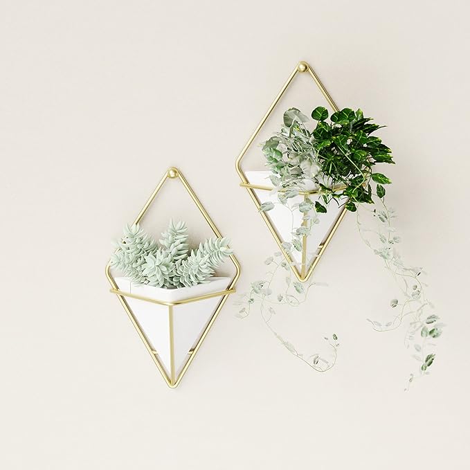 Umbra Trigg Hanging Planter Vase Wall Decor, Set of 2 Pots Containers for Succulents, Cactus, Faux Plants, and More, Small, White/Brass