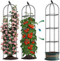 Square Tomato Cages for Garden, 6.2 FT Cucumber Trellis for Flowers, Grape, Pea, Rose, Bean, Rustproof Plastic Coated Metal Plant Support for Potted Plants Indoor Outdoor- 1PC Obelisk Trellis
