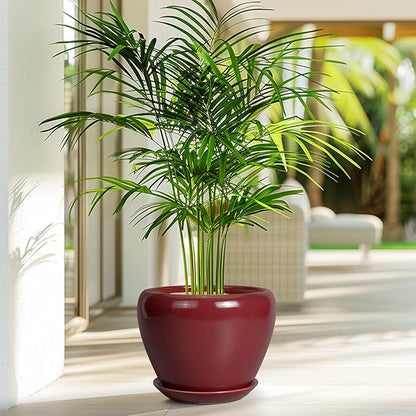 Ceramic Planter - 8 Inch Plant Pot Indoor with Drainage Hole and Saucer Planter for Outdoor Plants Round Flower Pot for House Patio Decor Red