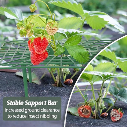 6 Sets Strawberry Plant Support with Mesh Plant Cover,Strawberry Growing Racks Sets with Iron Plant Nails and Storage Bag for Garden Strawberry Vegetables(Green Net - Square)