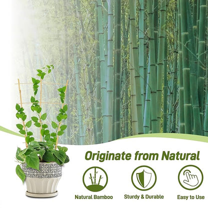 Avalution 10 Pack Bamboo Trellis for Climbing Plants, 2 FT Garden Ladder Trellis for Potted Plants Indoor, Fan-Shaped Small Plant Support Trellis for Houseplants Ivy Hoya Vine Monstera