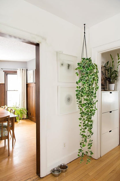 Hollyone Artificial Hanging Plants 6FT Fake Ivy Vine Faux Ivy Leaves Hanging Plant Greenery for Wall House Room Patio Indoor Outdoor Home Shelf Office Wedding Decor