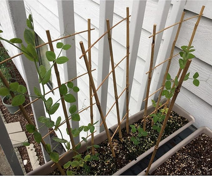Avalution 10 Pack Bamboo Trellis for Climbing Plants 16" Natural Garden Ladder Trellis, Fan -Shaped Plant Support Trellis for Potted Plant Decor
