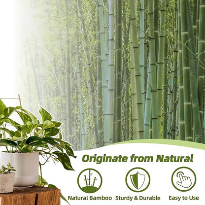 Avalution 5 Pack Bamboo Trellis for Climbing Plants Indoor, 16 Inch Garden Ladder Trellis for Potted Plants, Fan-Shaped Small Plant Support Trellis for Houseplants Ivy Hoya Vine Monstera