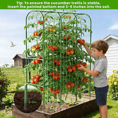 65in Tall Cucumber Trellis for Raised Bed, 50" L x 65" H Metal Garden Trellis for Climbing Plants Outdoor, U-Shape Vegetables Trellis Support for Squash Zucchini Peas Grape