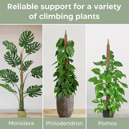 2 Pack 63'' Bendable Moss Pole Monstera Plant Support for Large Climbing Indoor Plants - Stakes for Potted Climbers - Tall Sticks Indoor Trellis for Houseplants - Accessories for Monstera Pot