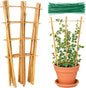 Bamboo Trellis, 24pack 16 Inch Small Plant Wood Bamboo Trellis for Climbing Plants Indoor Potted Plants