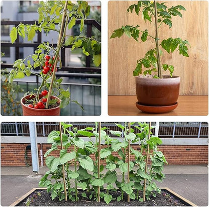15pcs 3/4" D Thicker Heavy Duty Bamboo Stakes, 7FT Plant Stakes, Natural Garden Stakes for Tomato, Bean, Flowers,Trees Potted and Climbing Plant Support