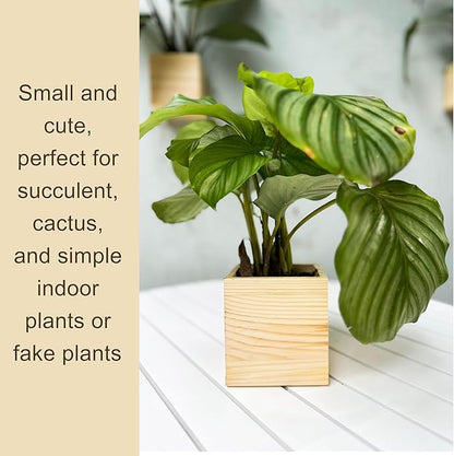 LaLaGreen Wooden Planter Box for Plants (4x4 Inch, 4 Pack) Small Square Wall Planters for Indoor Plant, Natural Wood Hanging Flower Pot Herb Planter Table Centerpiece Modern Home Garden Office Decor
