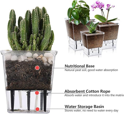 Self Watering Pots Set, 3 Pack 5 Inch for Indoor Plants, Clear Nursery Planter With Deep Reservoir for Spider Plant, Orchid, African Violet